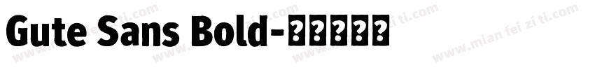 Gute Sans Bold字体转换